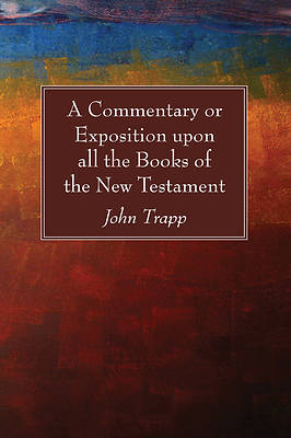 Picture of A Commentary or Exposition upon all the Books of the New Testament