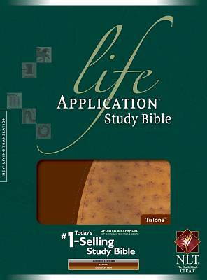 Picture of Life Application Study Bible New Living Translation