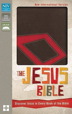 Picture of Jesus Bible, NIV