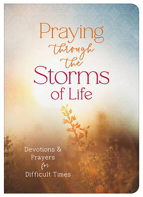 Picture of Praying Through the Storms of Life