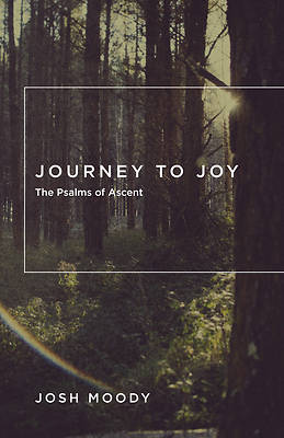 Picture of Journey to Joy