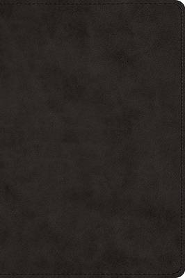 Picture of ESV Large Print Bible (Trutone, Black)