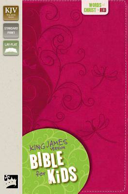 Picture of King James Version Bible for Kids