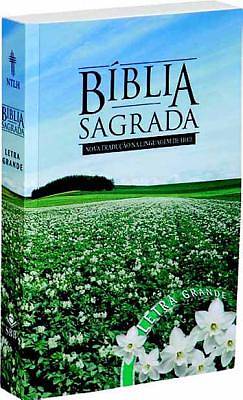 Picture of Portuguese Large Print Bible-FL