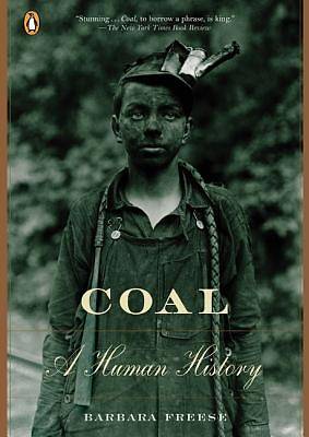 Picture of Coal