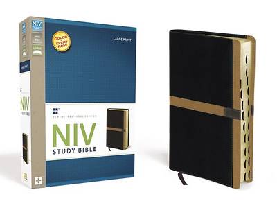 Picture of NIV Study Bible, Large Print Indexed