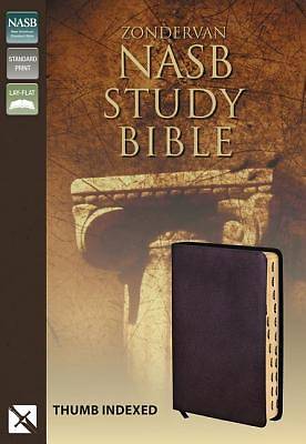 Picture of Zondervan Study Bible-NASB