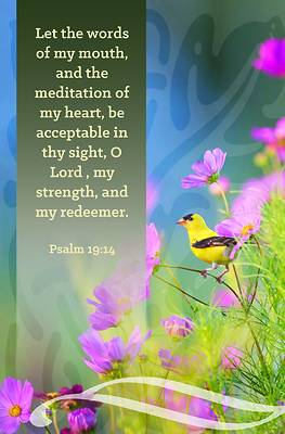 Picture of Words of My Mouth Bulletin (Pkg 100) General Worship