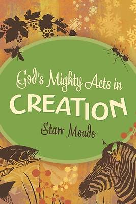 Picture of God's Mighty Acts in Creation