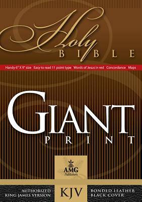Picture of Giant Print Handy-Size Bible