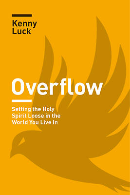 Picture of Overflow