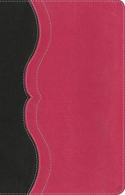 Picture of NIV, Quest Study Bible, Personal Size, Imitation Leather, Gray/Pink, Indexed