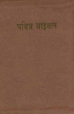 Picture of Hindi Bible