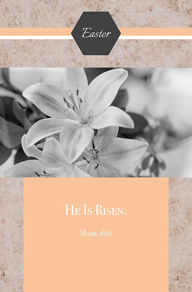 Picture of He Is Risen Easter Regular Size Bulletin