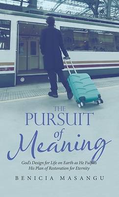 Picture of The Pursuit of Meaning