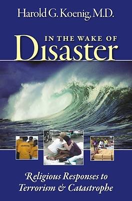 Picture of In the Wake of Disaster
