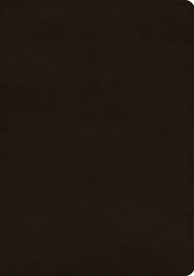Picture of ESV Study Bible (Trutone, Deep Brown)