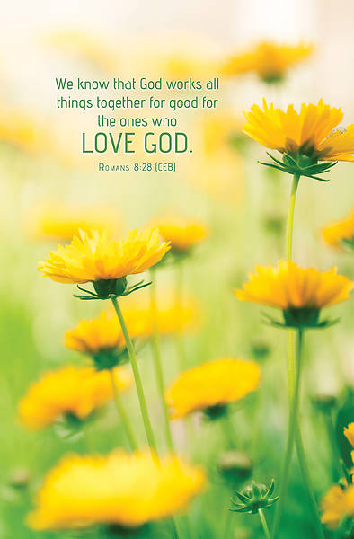 Picture of Word Alive! Weekly Bulletin without Message-Week 30, Letter Size (Package of 25)