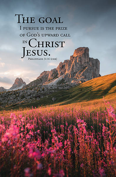 Picture of Word Alive! Weekly Bulletin without Message-Week 40, Letter Size (Package of 25)