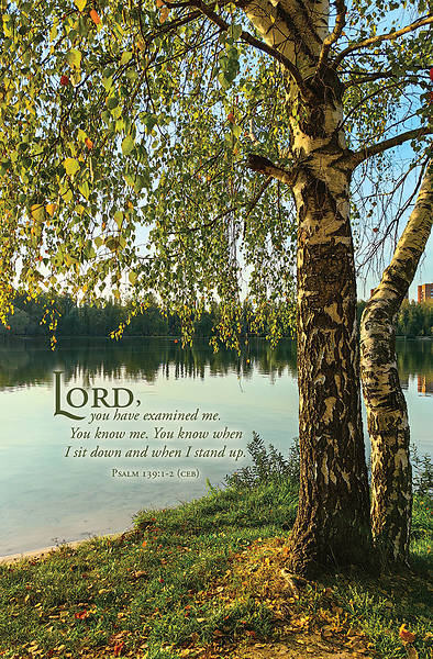 Picture of Word Alive! Weekly Bulletin without Message-Week 29, Legal Size (Package of 25)