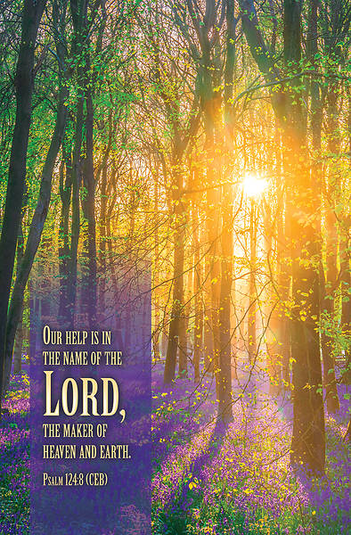 Picture of Word Alive! Weekly Bulletin without Message-Week 34, Legal Size (Package of 25)