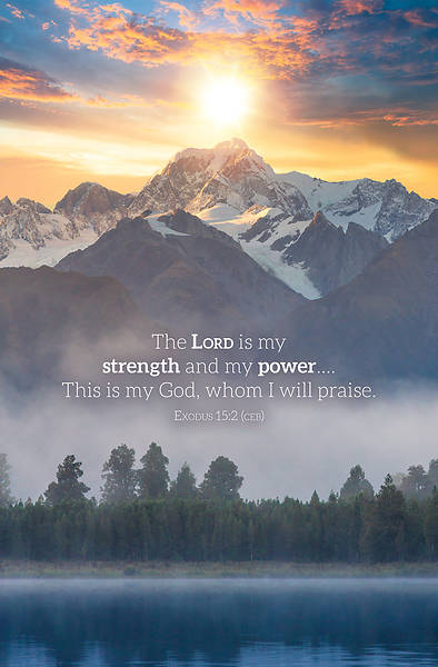 Picture of Word Alive! Weekly Bulletin without Message-Week 37, Legal Size (Package of 25)