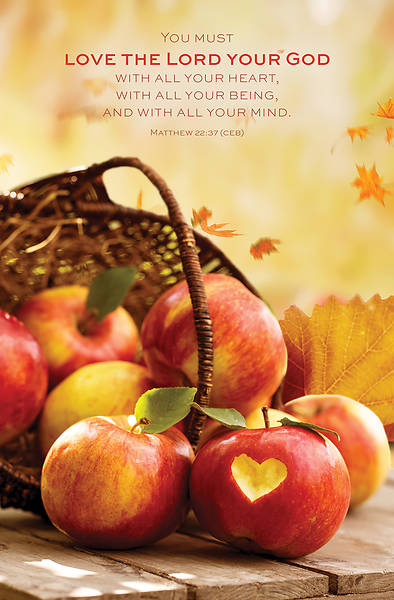 Picture of Word Alive! Weekly Bulletin without Message-Week 43, Legal Size (Package of 25)