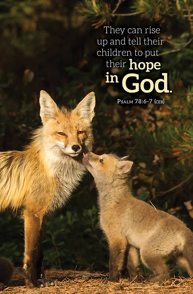 Picture of Word Alive! Weekly Bulletin without Message-Week 46, Legal Size (Package of 25)