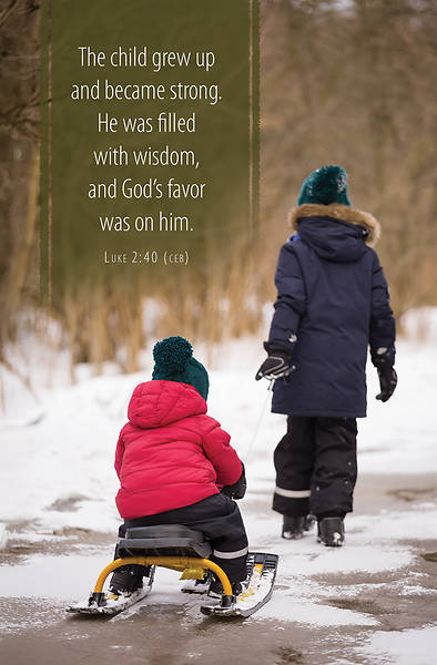 Picture of Word Alive! Weekly Bulletin without Message-Week 52, Legal Size (Package of 25)