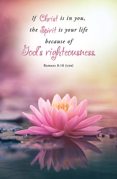 Picture of Word Alive! Weekly Bulletin with Message-Week 28, Letter Size (Package of 25)