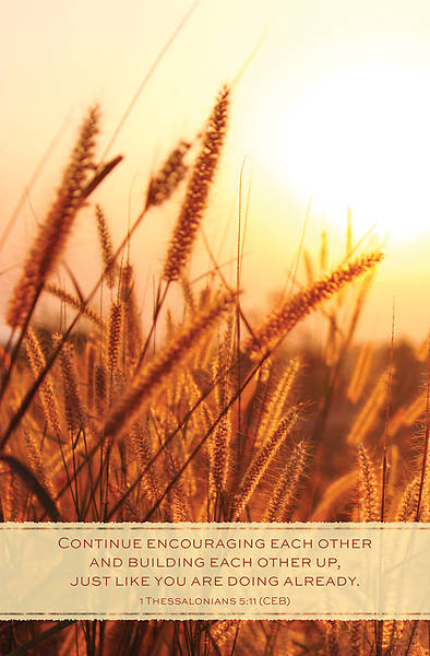 Picture of Word Alive! Weekly Bulletin with Message-Week 45, Letter Size (Package of 25)