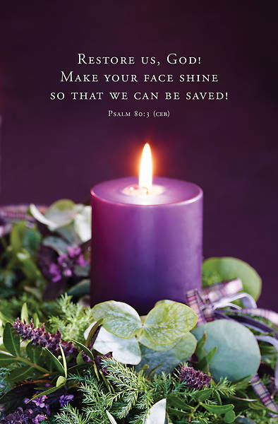 Picture of Word Alive! Weekly Bulletin with Message-Week 48, Letter Size (Package of 25)