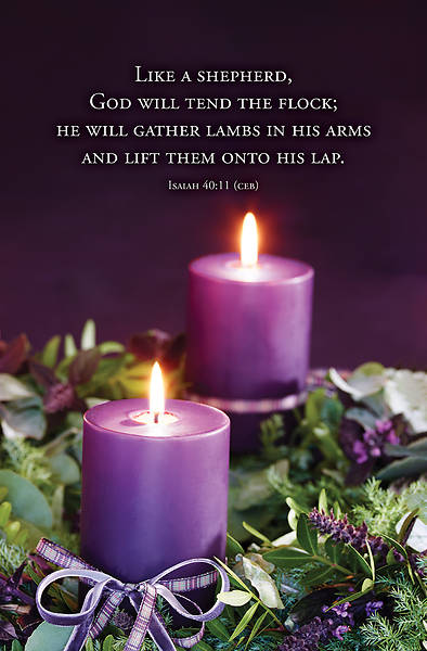 Picture of Word Alive! Weekly Bulletin with Message-Week 49, Letter Size (Package of 25)