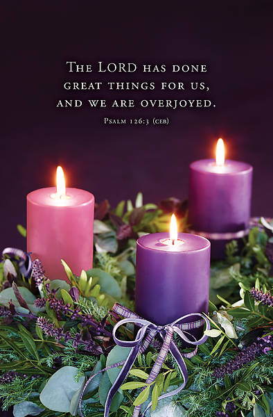 Picture of Word Alive! Weekly Bulletin with Message-Week 50, Letter Size (Package of 25)