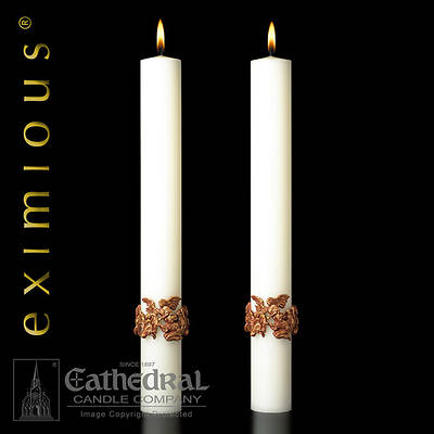 Picture of Cathedral Eximious Mount Olivet Complementing Candle 2-1/2" - 12"