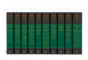 The New Interpreter's® Bible Commentary Ten Volume
