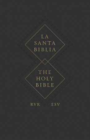 esv bible (paperback)