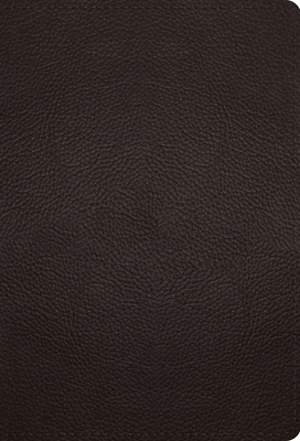ESV Large Print Compact Bible, Red Letter (Buffalo