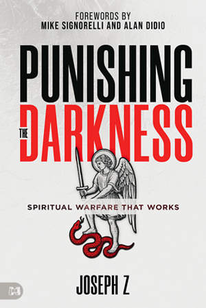 Punishing the Darkness - Spiritual Warfare That Wo