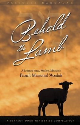 Picture of Behold the Lamb