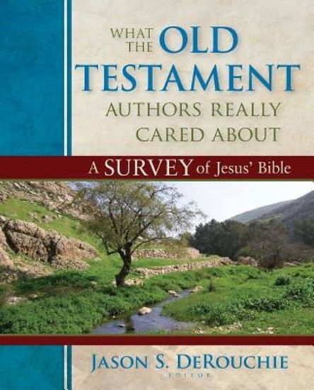 Picture of What the Old Testament Authors Really Cared about