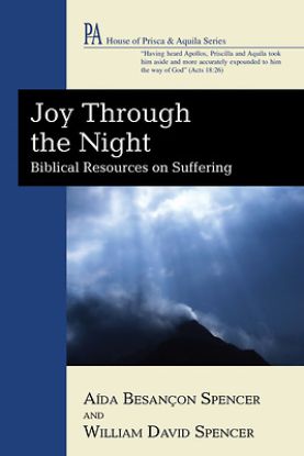 Picture of Joy Through the Night