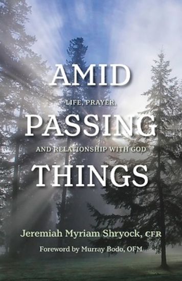Picture of Amid Passing Things