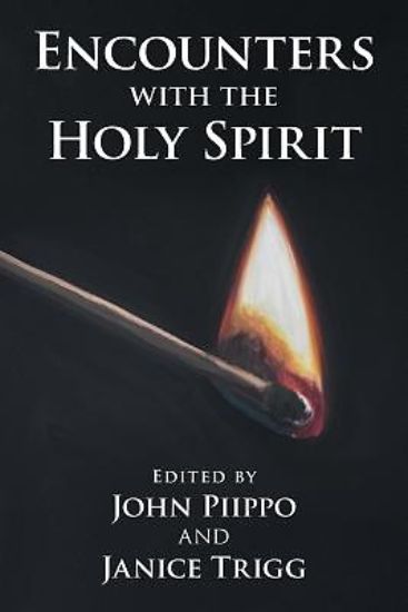 Picture of Encounters with the Holy Spirit
