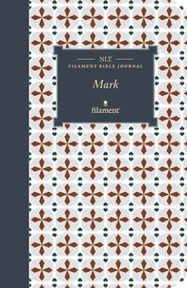 Picture of NLT Filament Bible Journal