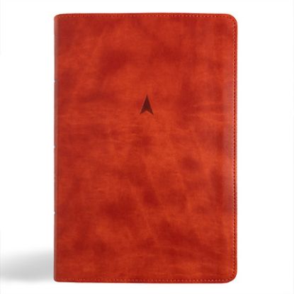 Picture of CSB Church Bible, Anglicised Edition, British Tan Leathertouch