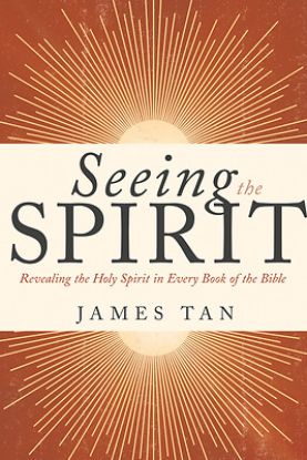 Picture of Seeing the Spirit