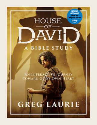 Picture of House of David (a Bible Study)