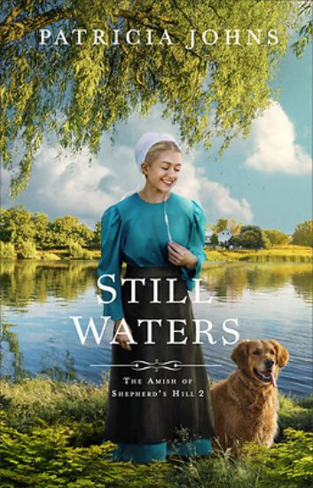 Picture of Still Waters