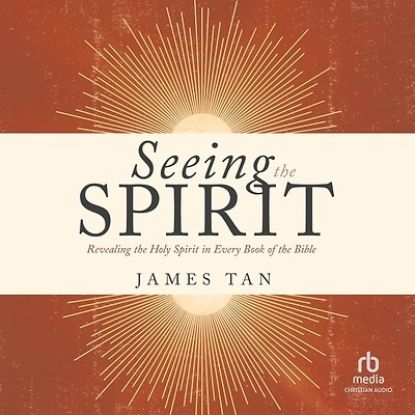 Picture of Seeing the Spirit